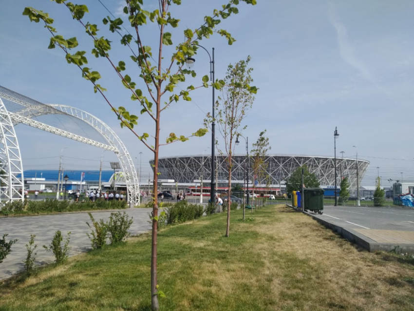"Волгоград Арена» заплатит более 15 миллионов за охрану стадиона