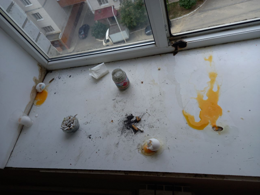 Выливают мочу, тащат мусор со свалок и бьют яйца: истории волгоградцев о жутких соседях