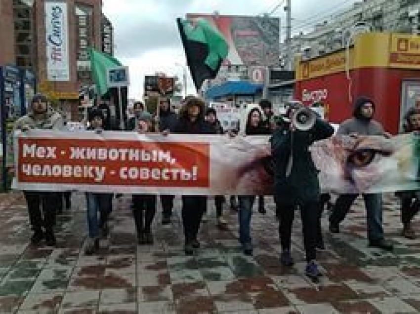 В Волгограде 7 ноября пройдет акция «Красота не требует жертв» 