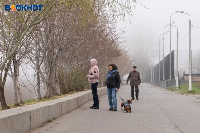 Семь дней дождей идет на Волгоград