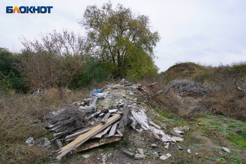 Чиновники освоят 18 млн на расчистке свалок в Волгограде 