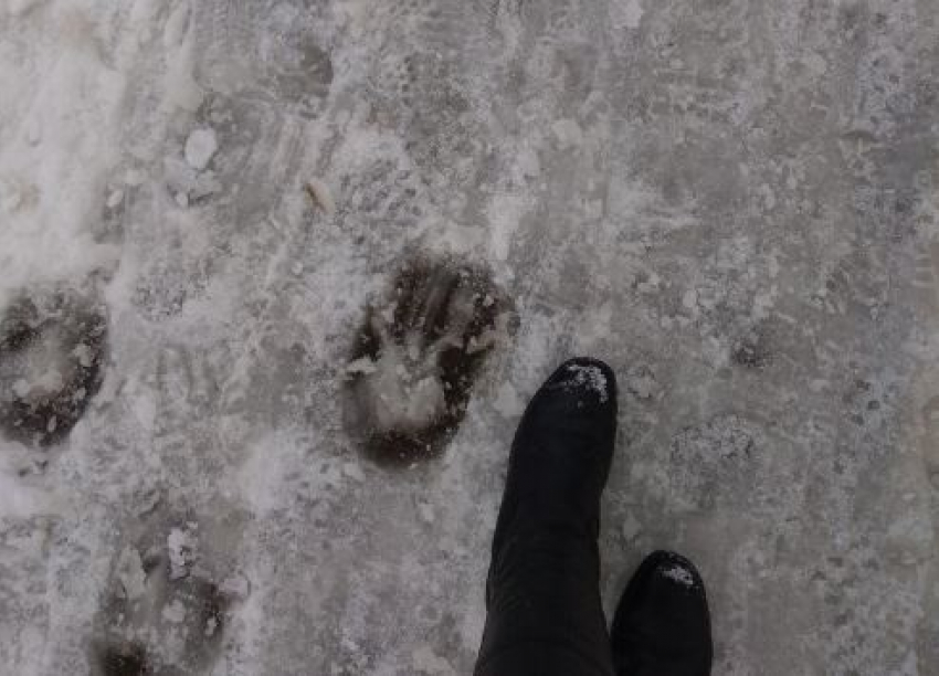  Волжан испугали странные следы на снегу