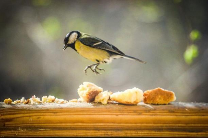 Жители Волгограда могут не ждать освежающего дождя и прохладного ветра
