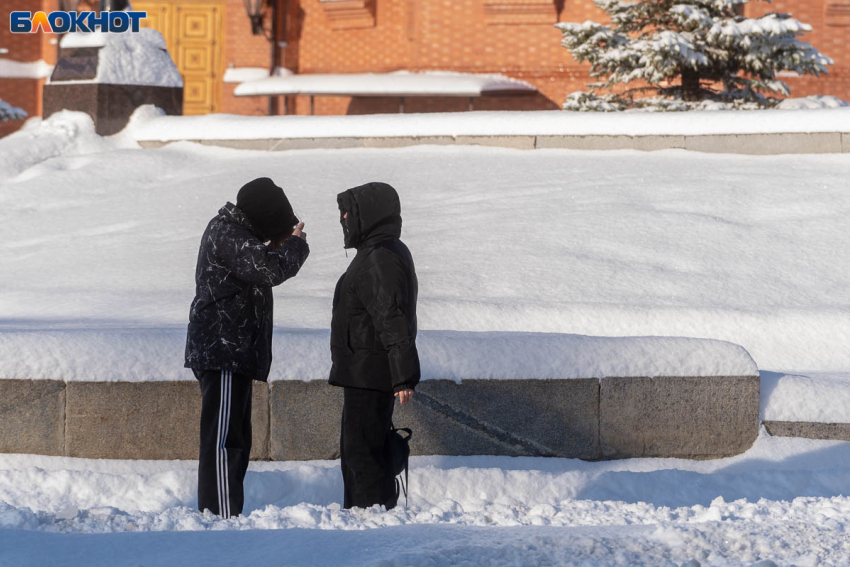 Волгоградка «откупилась» от вымышленной госизмены за 2,6 млн рублей