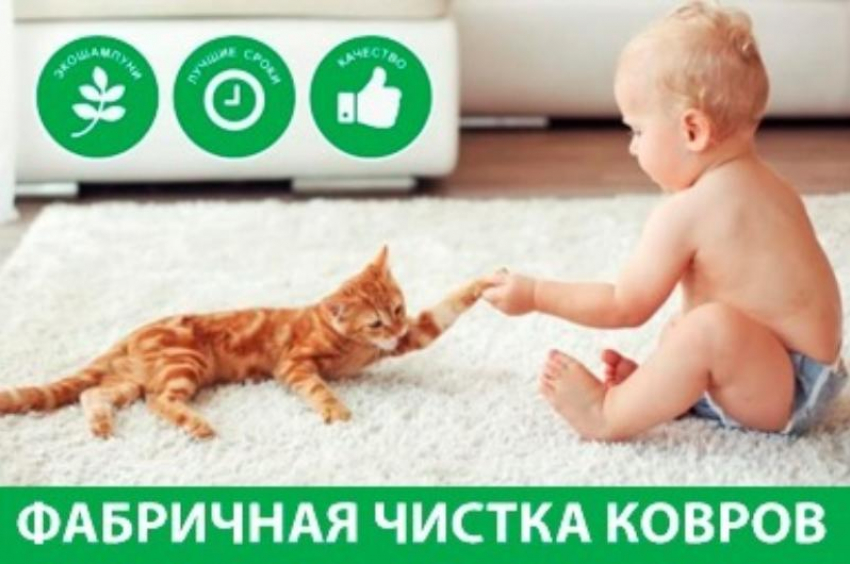 Профессиональная чистка ковров. Фабрика чистки ковров «ЛЕА". Заходи в справочник