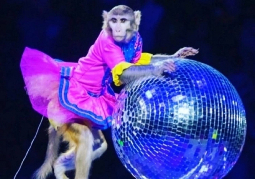 Билет в Счастье для волгоградцев