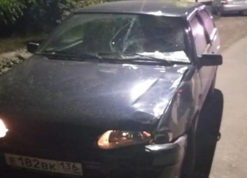 Суд избрал меру пресечения водителю, сбившему насмерть подростка в Михайловке