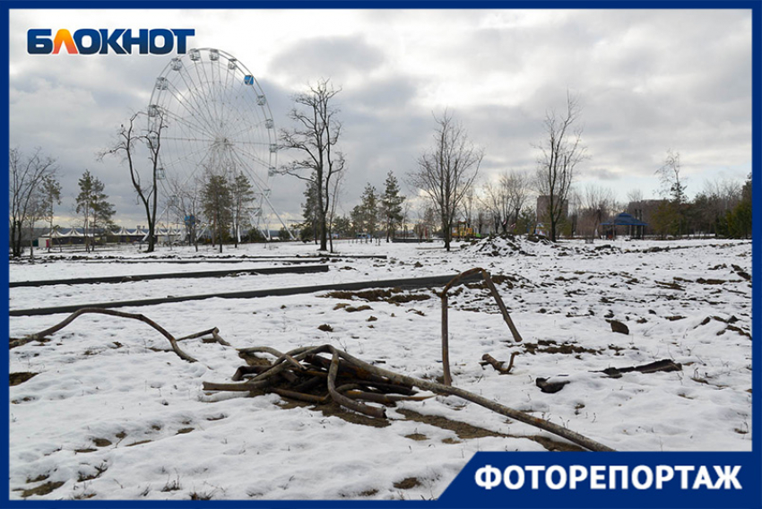 Волгоградский фотограф показал, в каком состоянии парк, переданный в руки концессионера