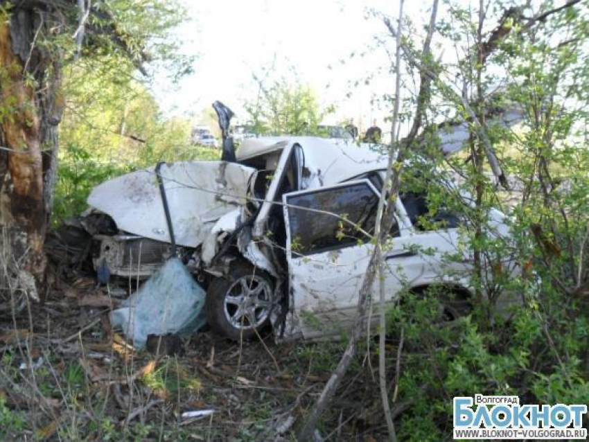 Водителя «четырнадцатой» убило дерево под Волгоградом