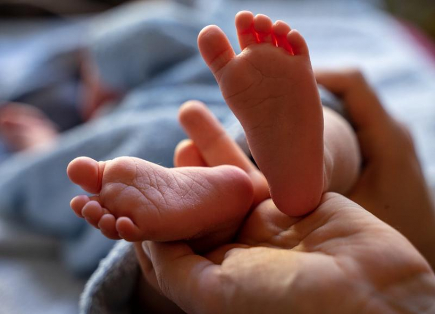 Родить ребенка в 2020 готовы 9% семейных волгоградцев