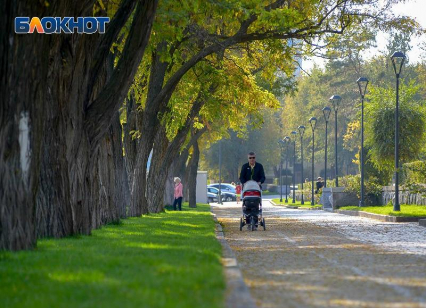 Достаем кофты: осеннее похолодание идет в Волгоград