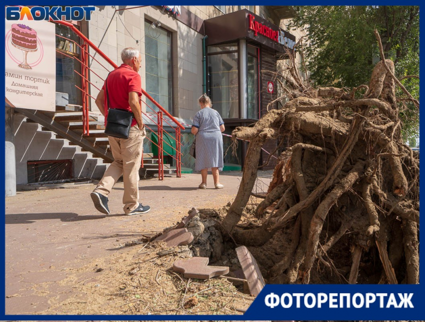 Апокалипсис в центре Волгограда устроили ради создания образцовой улицы