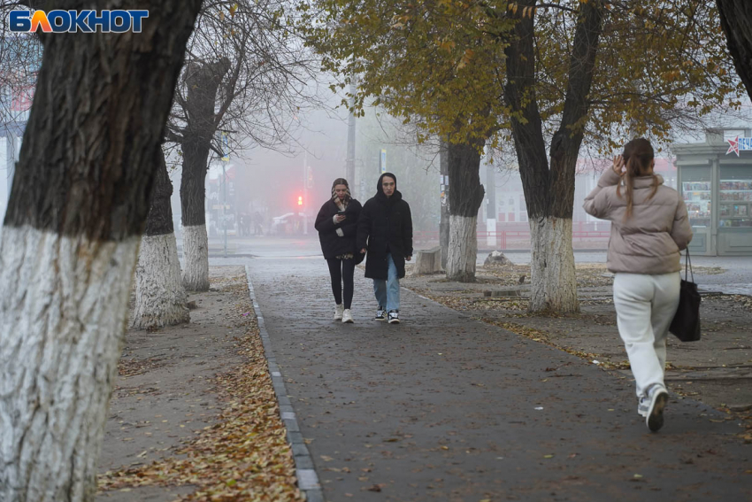 Средняя зарплата в Волгоградской области снизилась до 56,8 тысяч