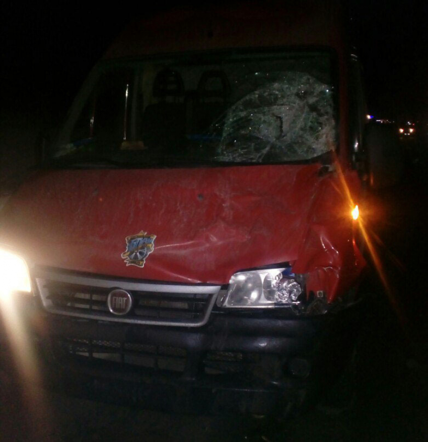 Микроавтобус Fiat насмерть сбил двух пешеходов на трассе под Волгоградом 