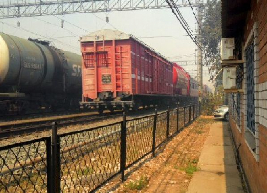 Пожар вплотную подошел к железной дороге в Волгограде