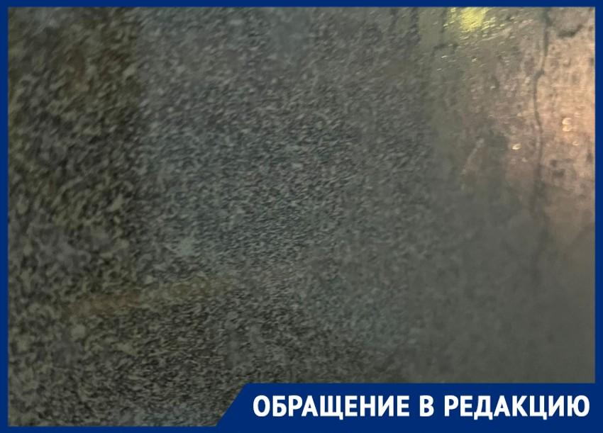 "Ничего не видно": на поездки вслепую в автобусах пожаловались волгоградцы 