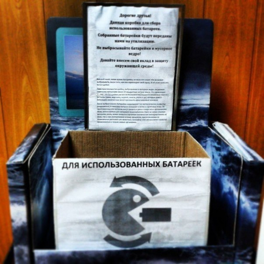 Волгоградские активисты собирают использованные батарейки, чтобы отправить за рубеж
