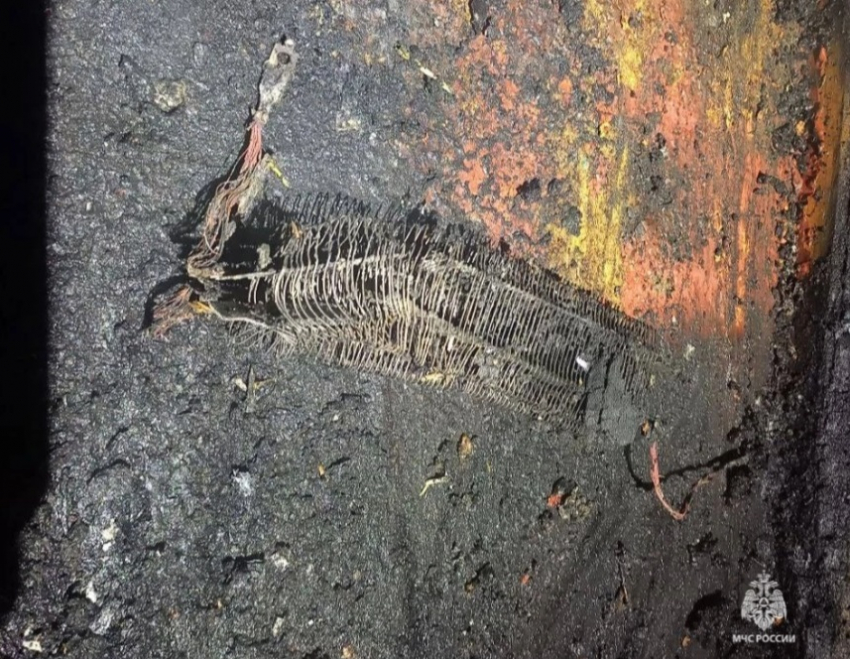 Пожар забрал жизнь супружеской пары под Волгоградом