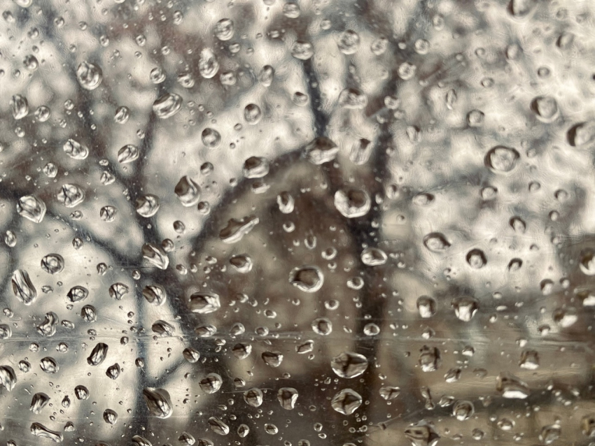 Волгоград и область неделю будет заливать проливным дождем