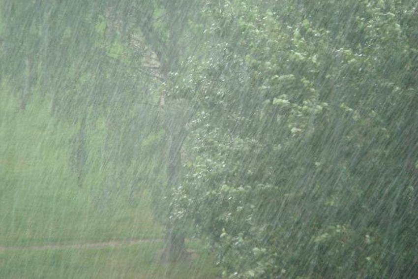 Ливни уничтожили посевы в восьми районах Волгоградской области 