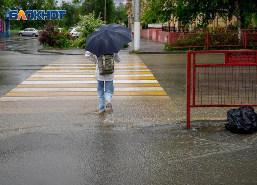 Дождливо, местами грозы: погода на 7 июня в Волгоградской области 