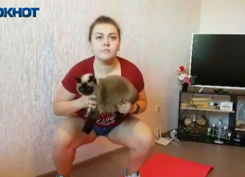 Как заменить гантели кошкой, узнали в самоизоляции волгоградцы