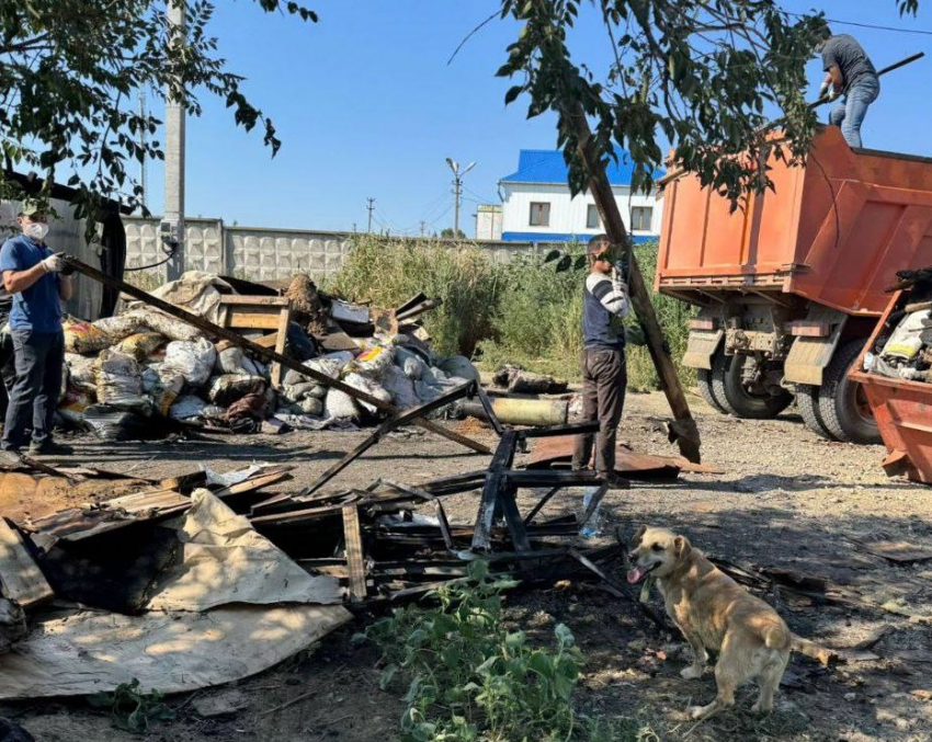 В Волгограде пятые сутки разгребают приют с заживо сгоревшими животными