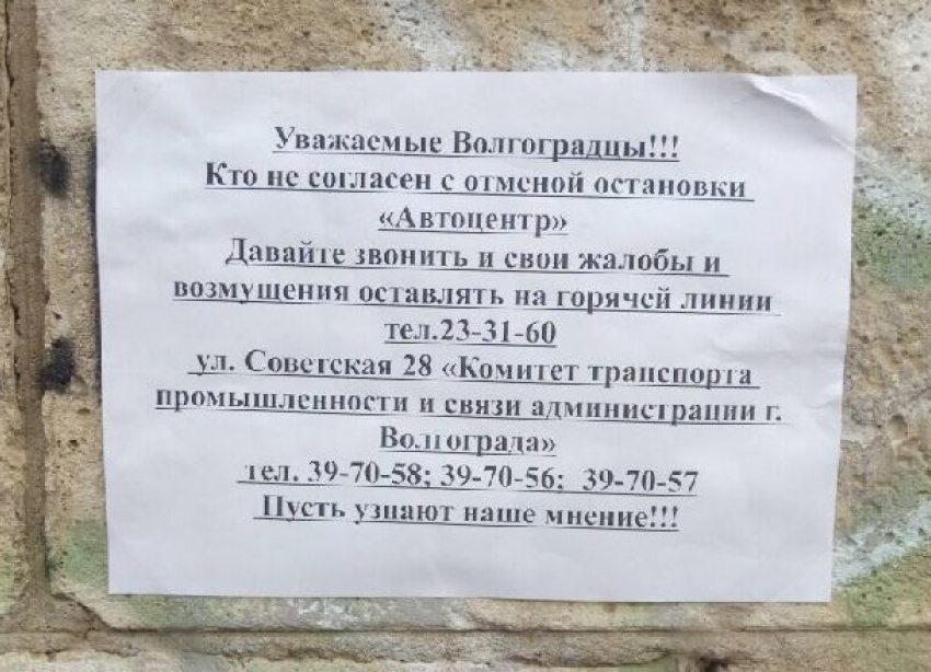 Отмена остановки «Водоотстой» привела к массовой протестной акции в Волгограде