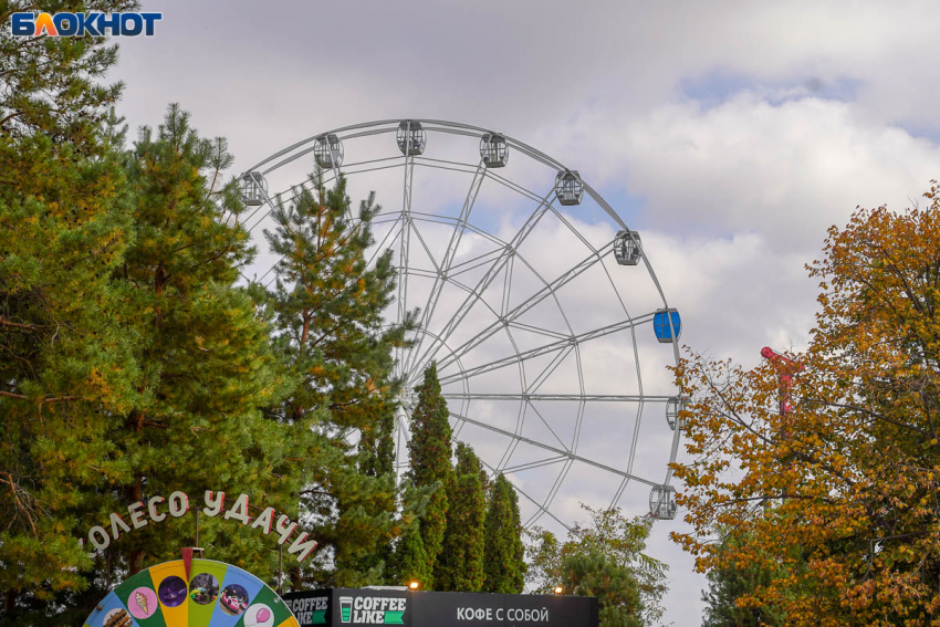 Геомагнитные скачки и тепло до +11 градусов: синоптики о погоде в Волгограде