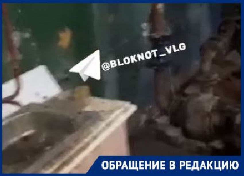 «Все ржавое, просто хлам»: сидящие неделю без воды волгоградцы показали обслуживающую дом теплостанцию 