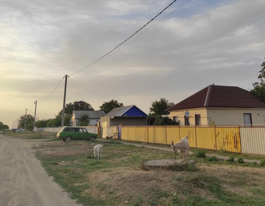 Найдены самые необычные названия посёлков Волгоградской области 