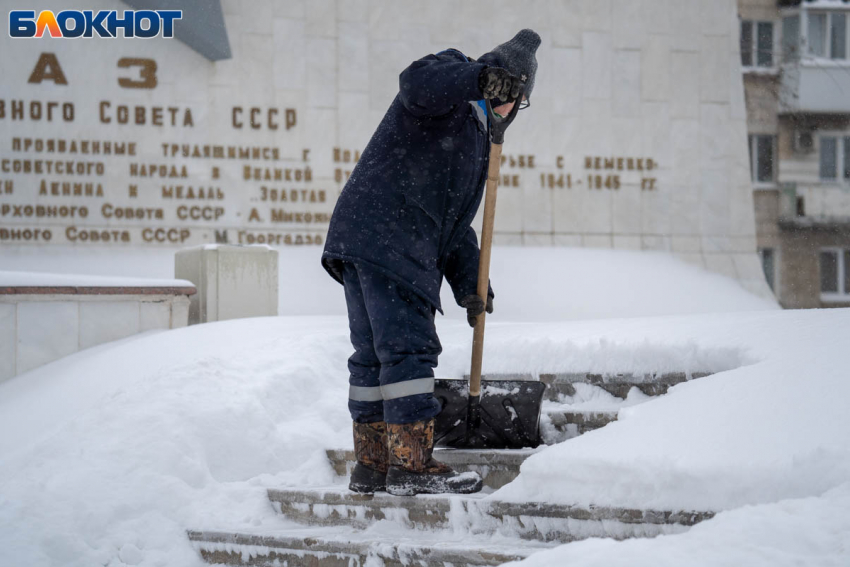 Пять тысяч человек смогли найти за год работу в Волгограде