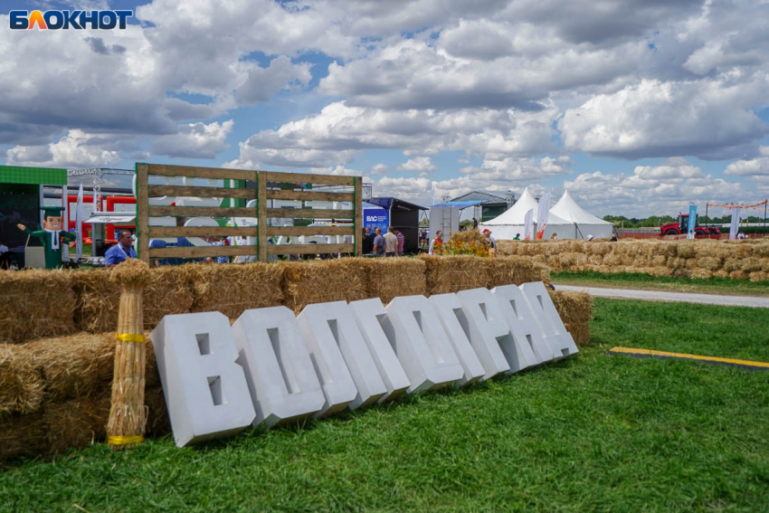 Волгоградская область поставила новый аграрный рекорд