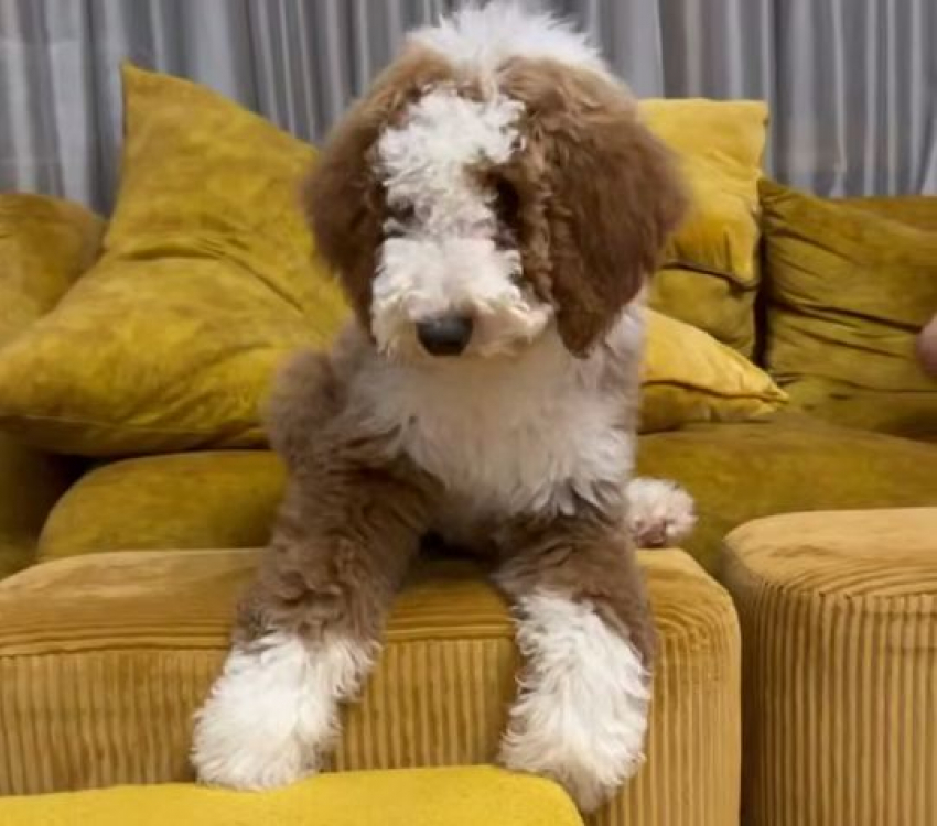 Ирина Дубцова снова объявила себя мамочкой