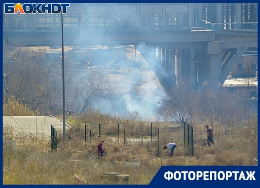 Пожарные подожгли пойму Царицы в Волгограде