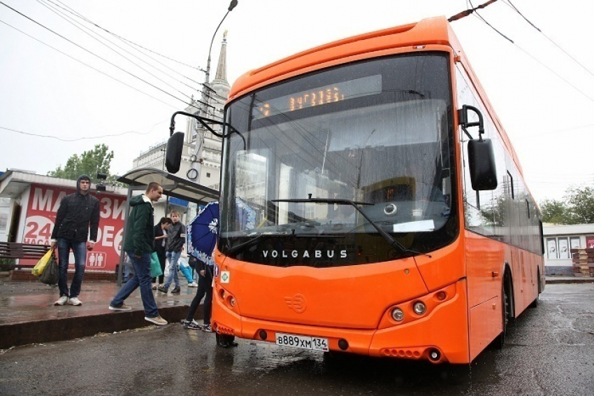 Автобусы №44 и 49 объединили в один маршрут в Волгограде