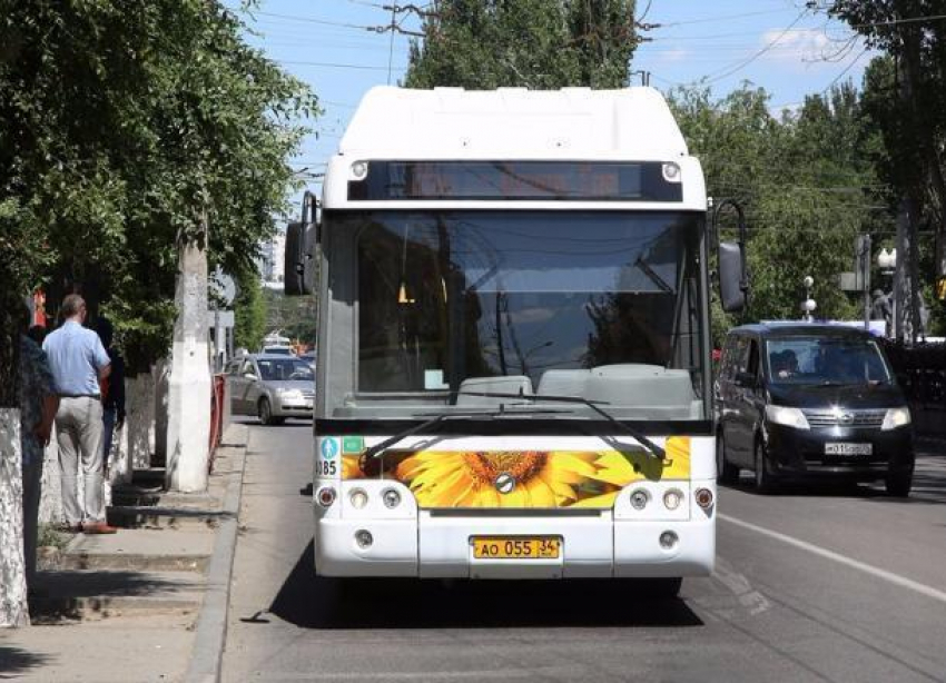 В Волгограде студентов будут возить на пары спецавтобусами