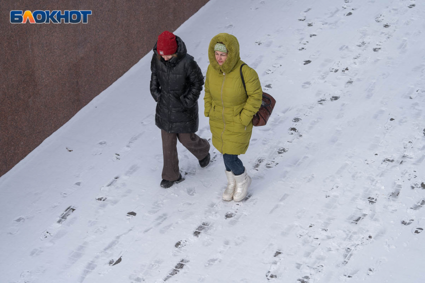 Весеннее потепление до +16 градусов придет в Волгоградскую область 9 марта