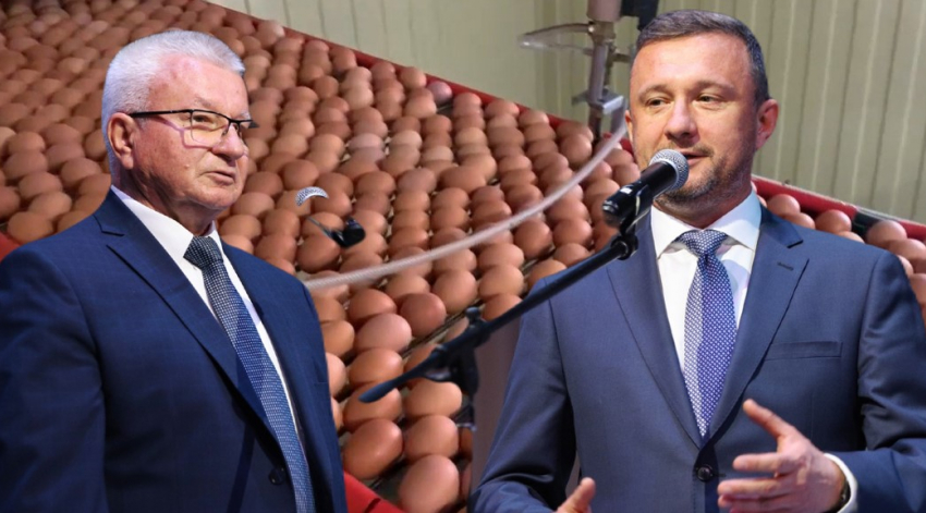 Миллиарды на яйцах: как депутаты сделали процветающей загнувшуюся птицефабрику под Волгоградом