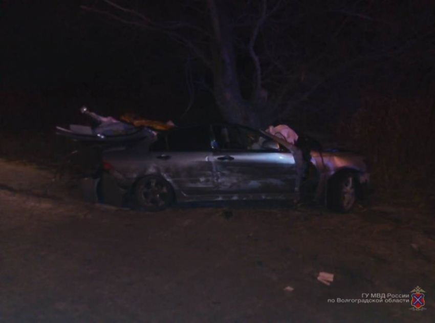 Столкнулись и синхронно врезались в дерево Honda и ВАЗ в Волгограде: водитель в больнице