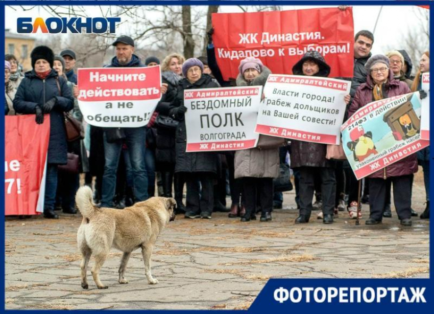   Митинг дольщиков с требованием отставки Андрея Бочарова в объективе фотографа