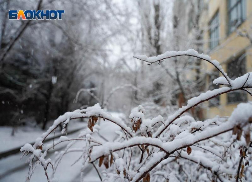 Снег с порывами ветра до 23 м/с ожидается в Волгоградской области