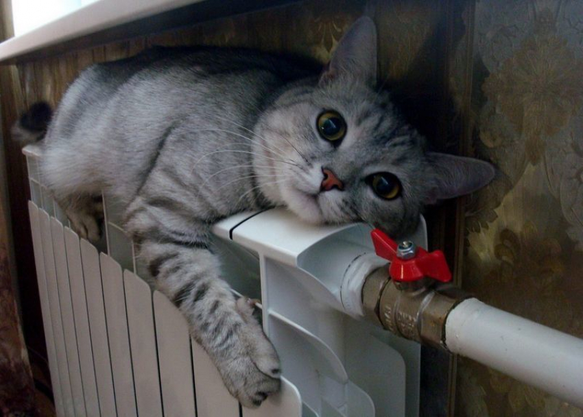 В центре Волгограда из-за порыва трубы без тепла остались 110 домов и 18 соцучреждений