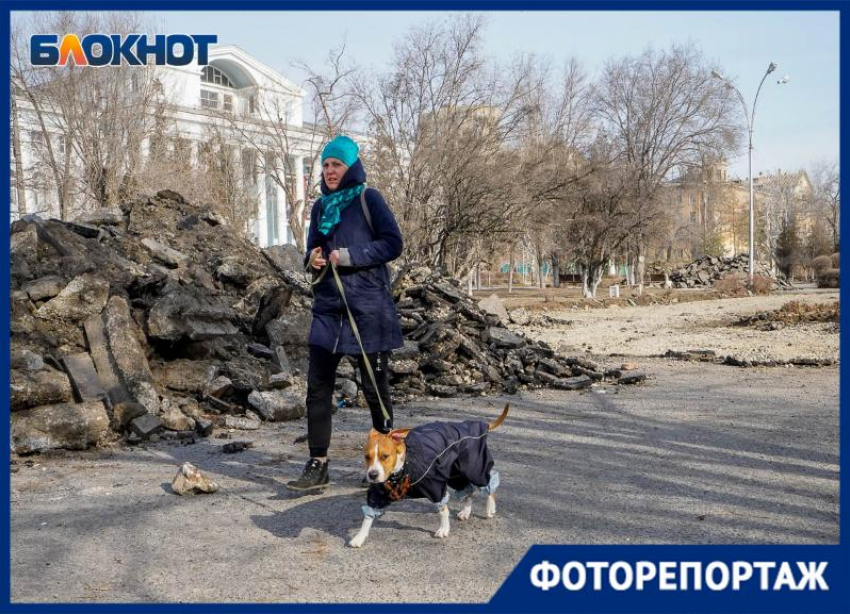 Светящиеся одуванчики и живая изгородь: в объективе волгоградского фотографа начало благоустройства площади у «Царицынской оперы»