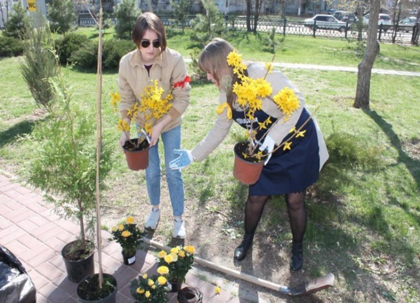 На 7 ветрах появились «яблочная» лавочка, деревянная елка и много зелени 
