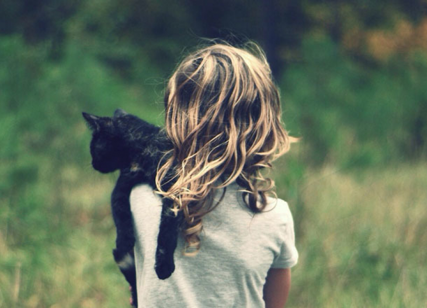 Потерявшуюся трехлетнюю девочку обнаружили возле детского лагеря под Волгоградом