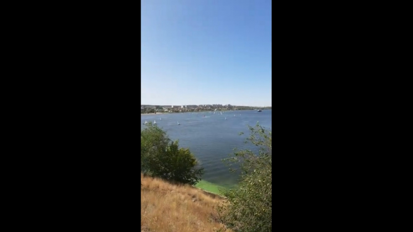 Толпу белоснежных регат на Волге под Волгоградом сняли на видео