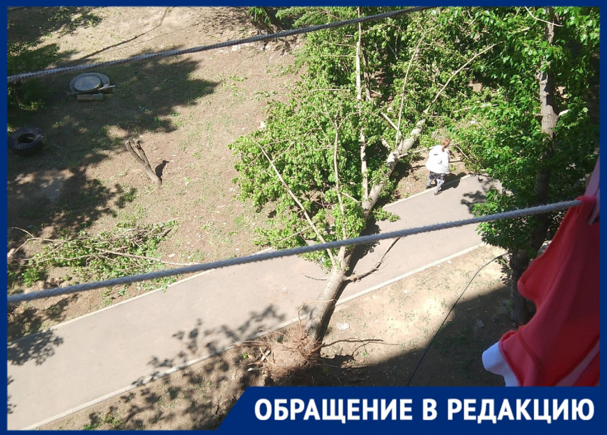 Деревопад после шторма заблокировал дороги в Волгограде