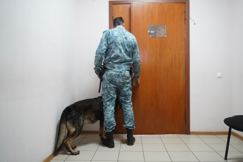 Похитившей более 6 млн волгоградской чиновнице отсрочили приговор