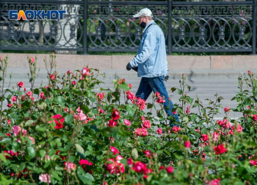 К 5312 зараженным COVID-19 на 20 июня приблизилась Волгоградская область 